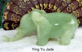 Wise Elephant Protects Rare Old Chinese Jade Elephant Carving